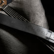 Load image into Gallery viewer, John Patitucci Signature Strap
